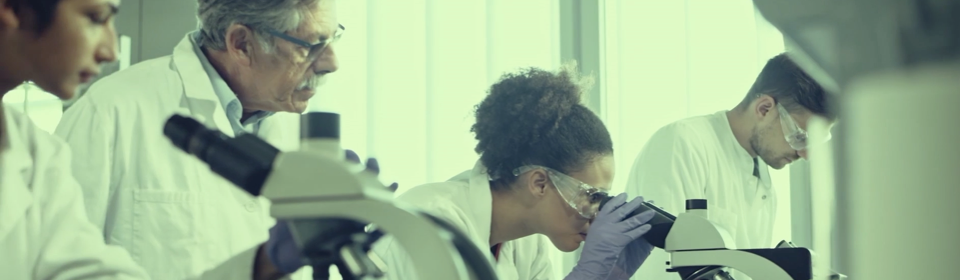 productivity-traditional-banner